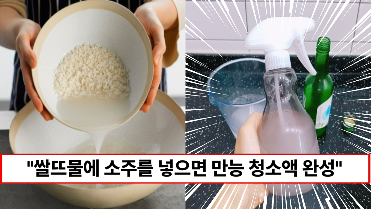 “쌀뜨물 절대 버리지 마세요” 주부9단이 알려주는 집안이 10배 깨끗해지는 쌀뜨물 활용법 5가지