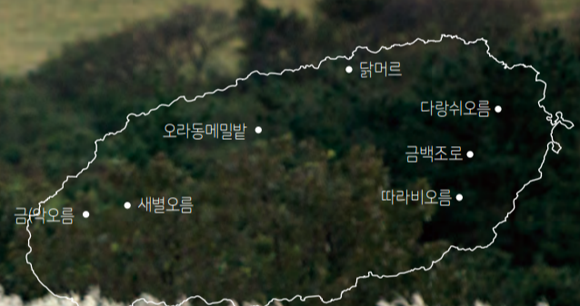 억세 군락지 이미지