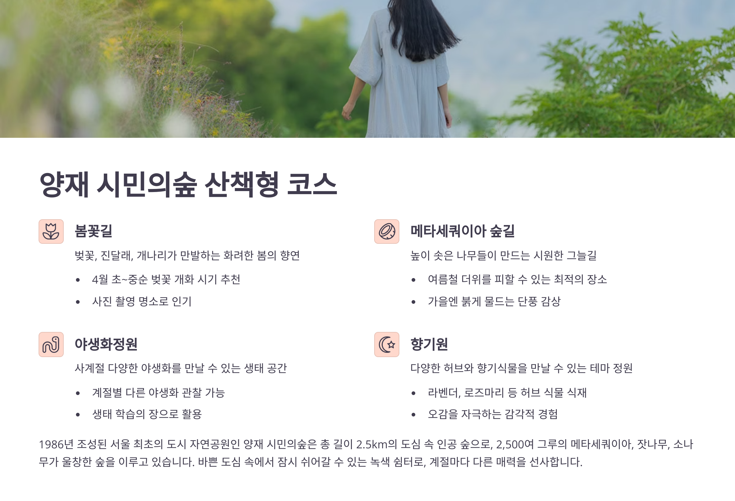 🌲 양재 시민의숲 산책형 코스
