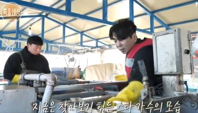 김정남의 춤