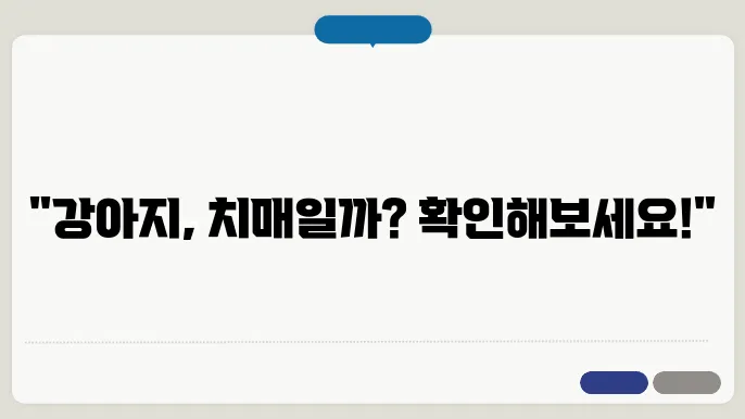 강아지 소변실수, 치매증상일까? 알아보는 방법