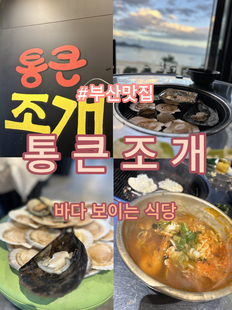 송도 통큰 조개 이미지