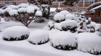 가톨릭 천주교 사제들을 위한 기도문 모음_11
