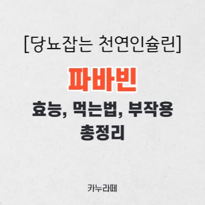 파바빈 효능&#44; 먹는법&#44; 부작용 알아보기(자이언트 파바빈)