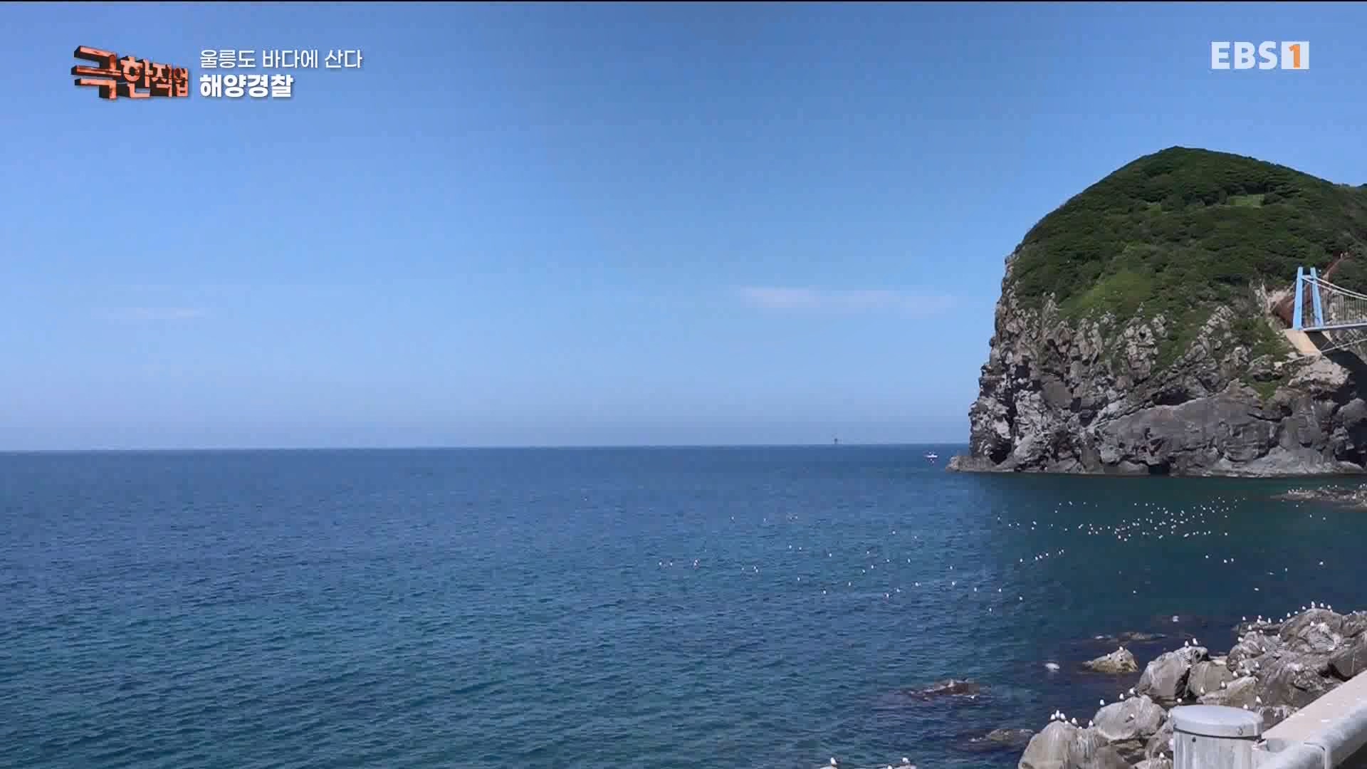 [극한 직업] 대형 여객선과 해양경찰 230729p.mp4_20230805_140259.803.jpg