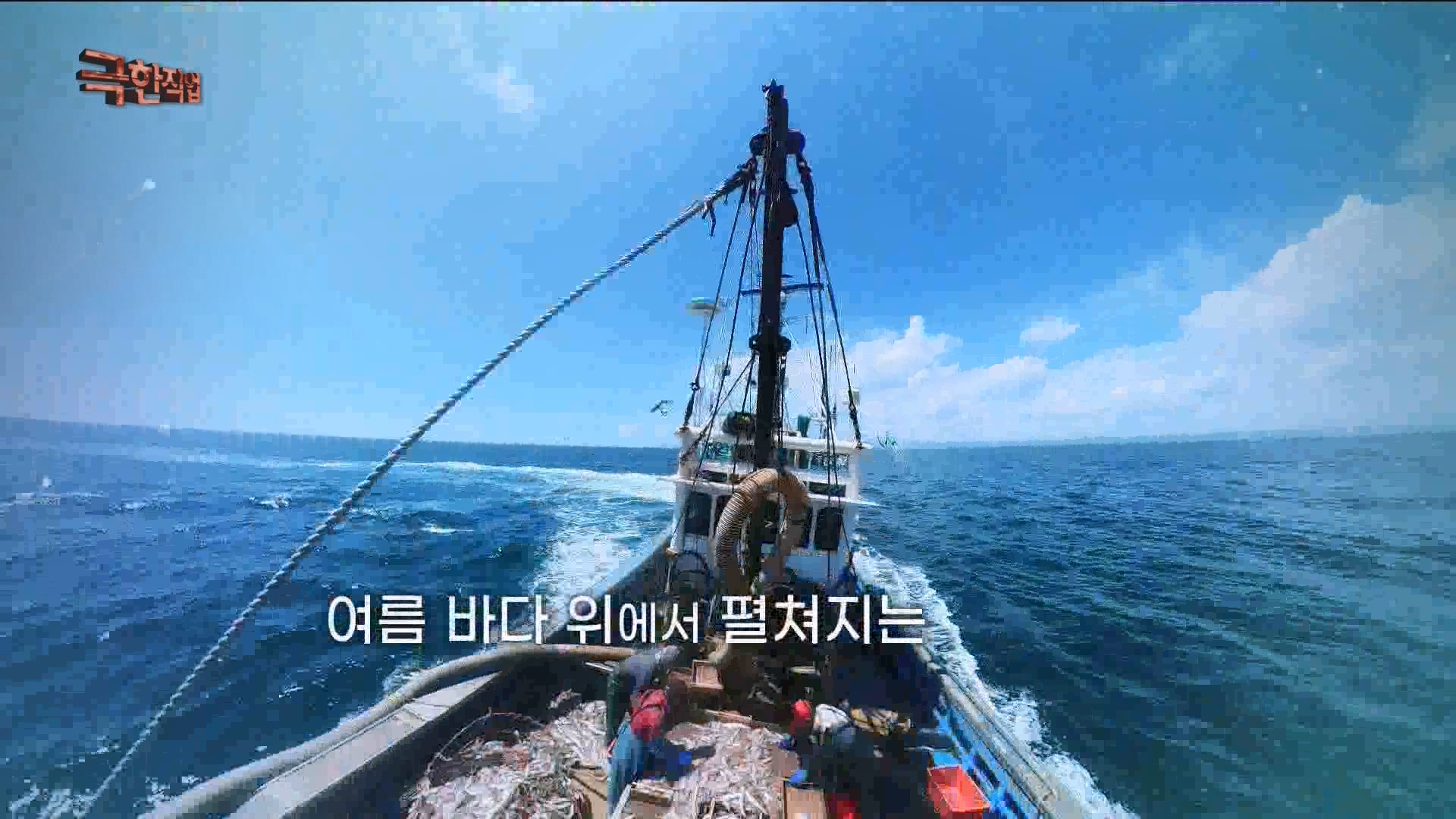 [극한 직업] 가자미잡이와 추어탕 230819.mp4_20230823_203254.432.jpg