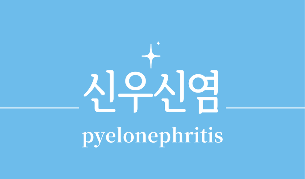 '신우신염(pyelonephritis)'