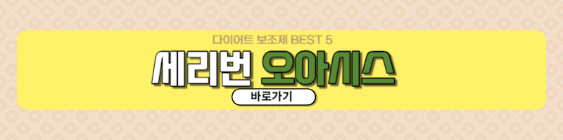 다이어트 보조제 성분비교 추천 BEST5