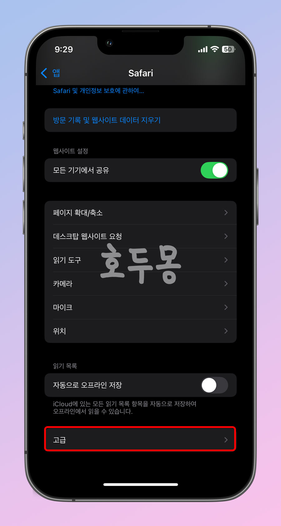사파리 고급 옵션