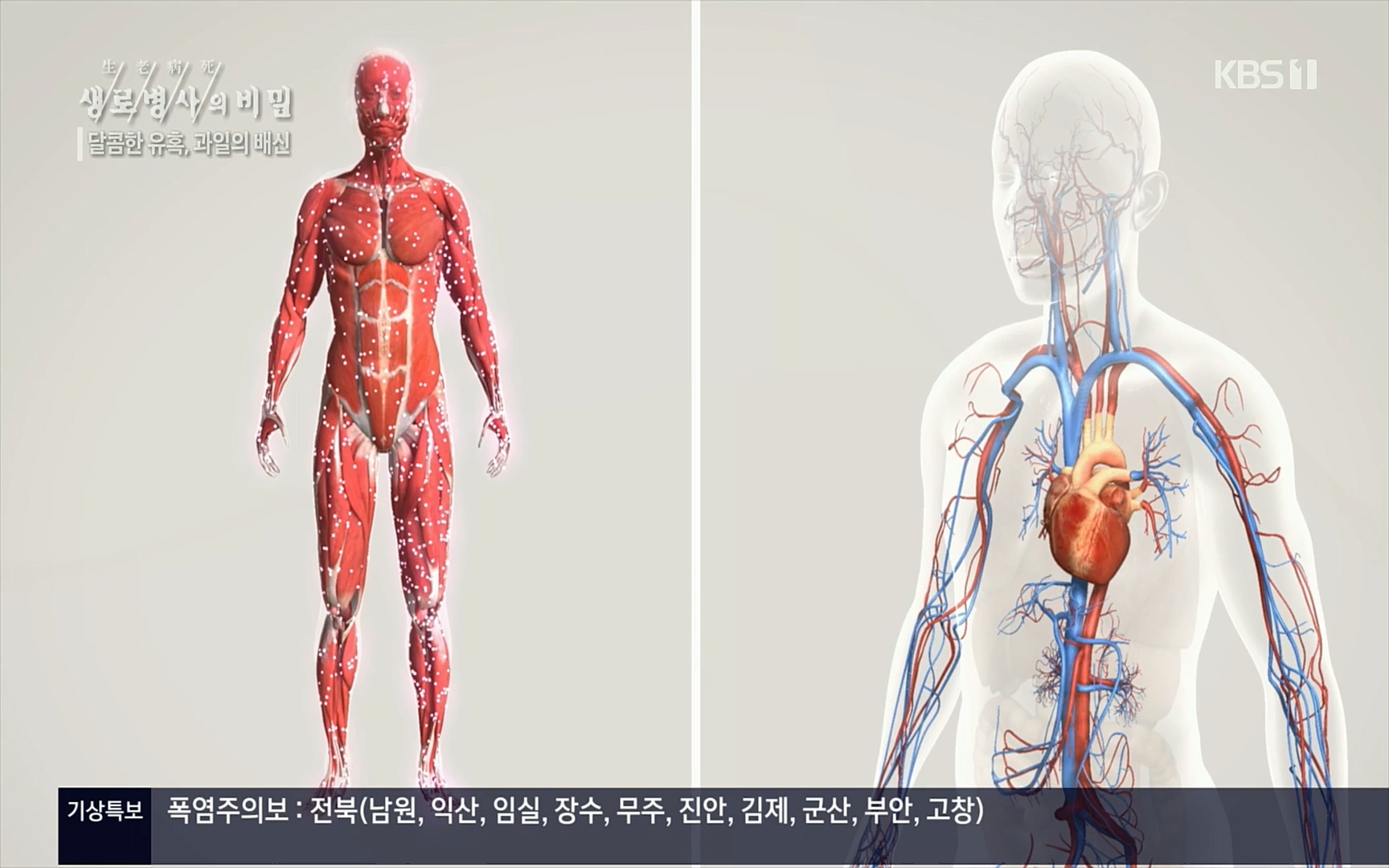 생로병사의 비밀.E829.220803p.H264-F1RST.mp4_20220804_204344.243.jpg