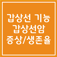 갑상선의 기능, 갑상선암 초기증상 및 말기증상, 갑상선암 생존율까지