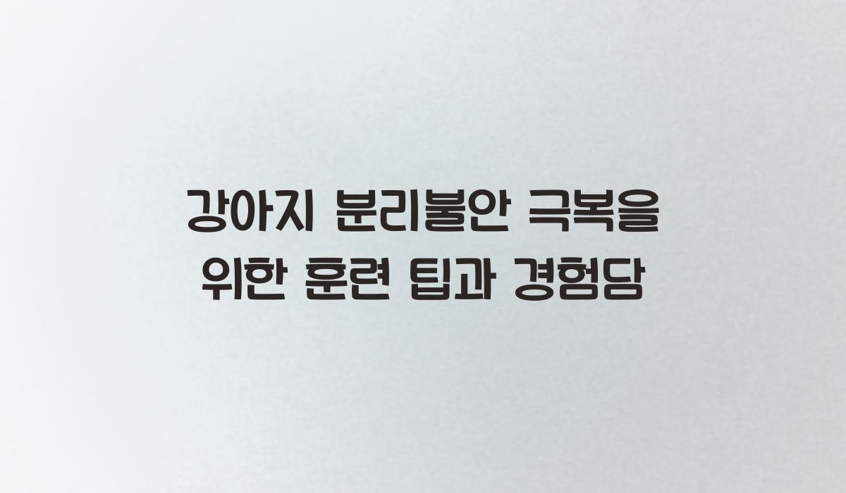 강아지 분리불안 극복