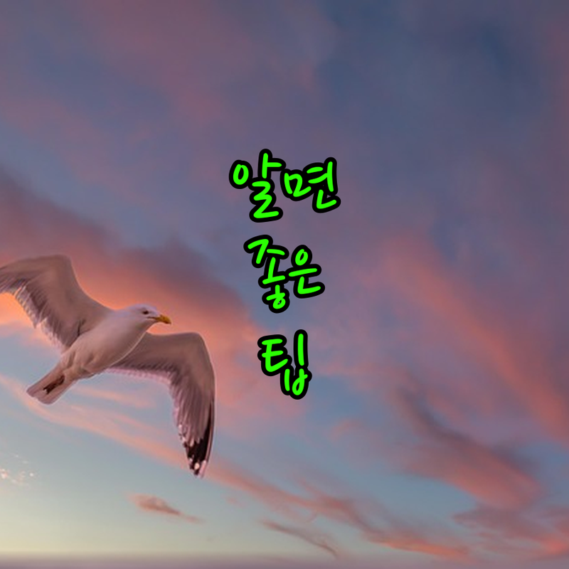 농업 & 기업 윈윈?! 2025년 상