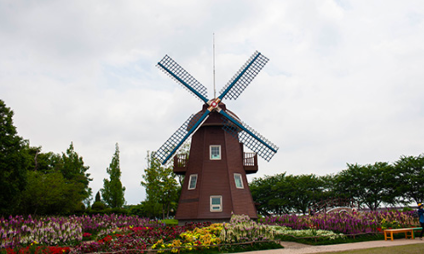 2023 순천만국제정원박람회 국가정원 꽃의 축제 네덜란드 정원