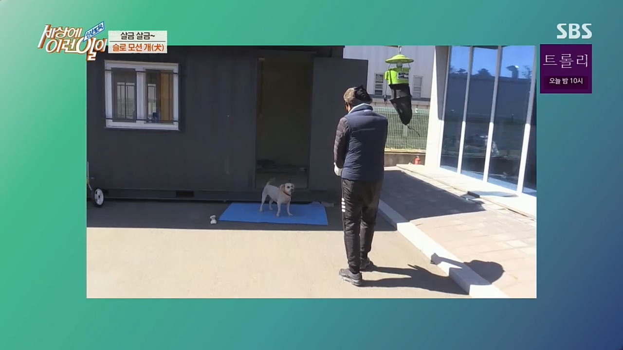 순간포착 세상에 이런일이.E1210.221221p.H264-F1RST.mp4_20221221_194009.928.jpg