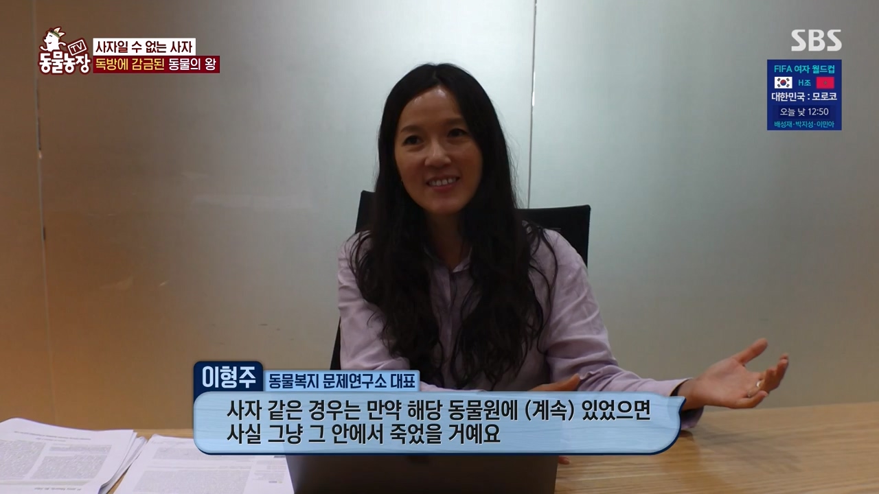 TV 동물농장.E1131.230731p-NEXT.mp4_20230730_190958.955.jpg