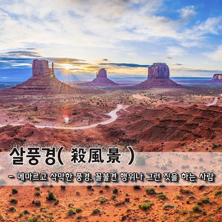  살풍경(殺風景)