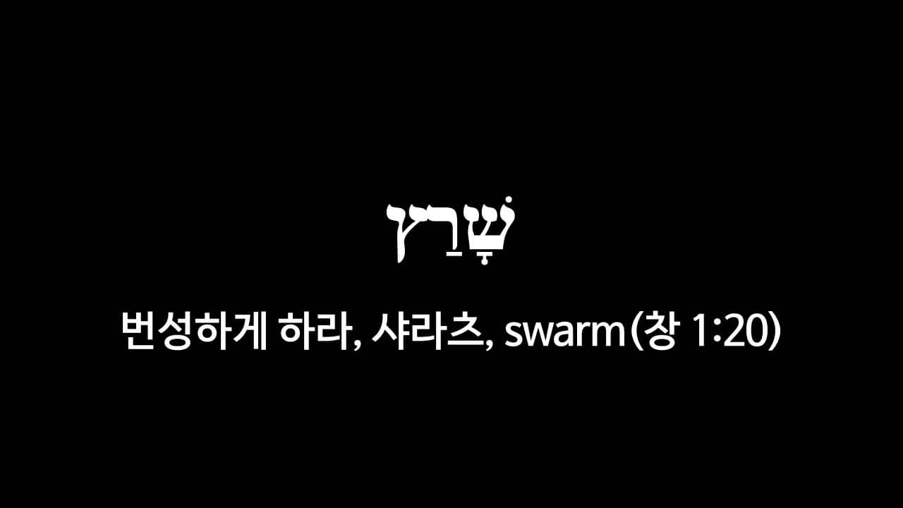 창세기 1장 20절&#44; 번성하게 하라(שָׁרַץ&#44; 샤라츠&#44; swarm) - 히브리어 원어 정리