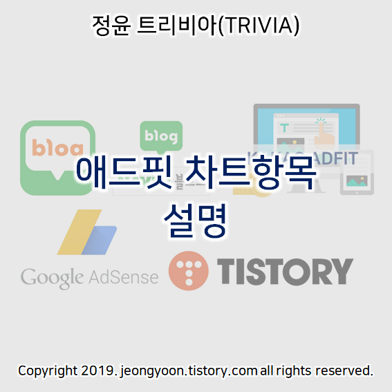  애드핏 차트항목 설명