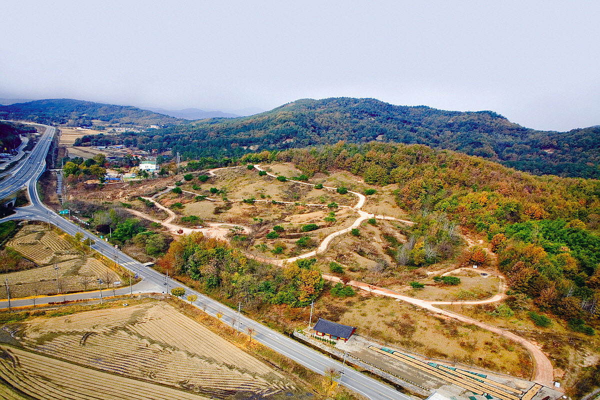 부여 능안골 고분군