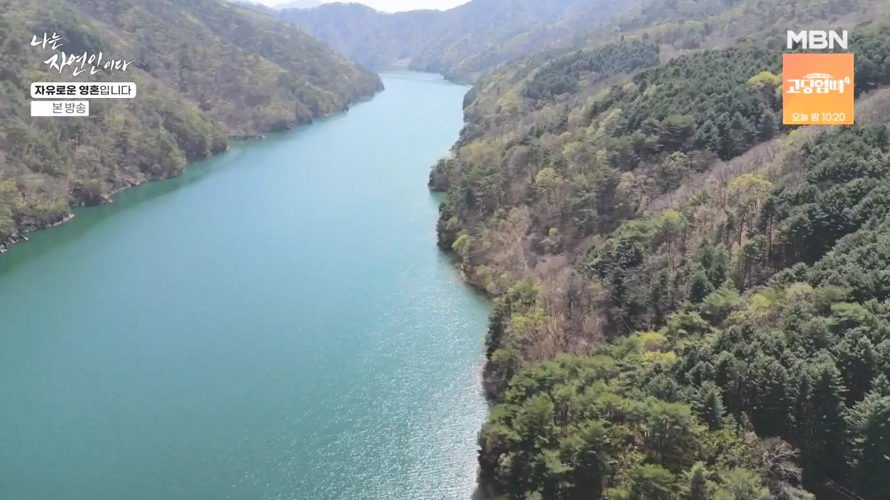 나는 자연인이다.E604.240509p-NEXT.mp4_20240509_195720.625.jpg