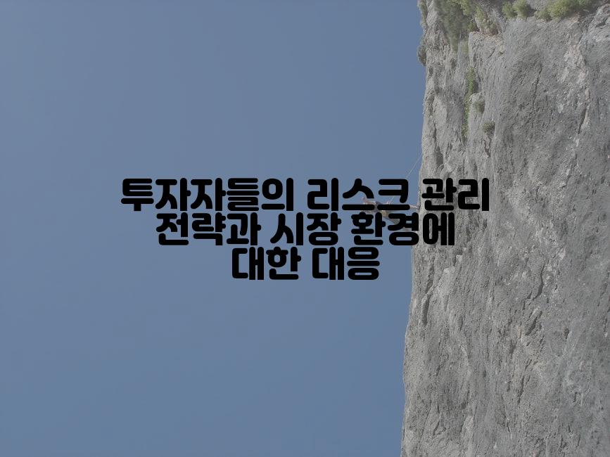 투자자들의 리스크 관리 전략과 시장 환경에 대한 대응