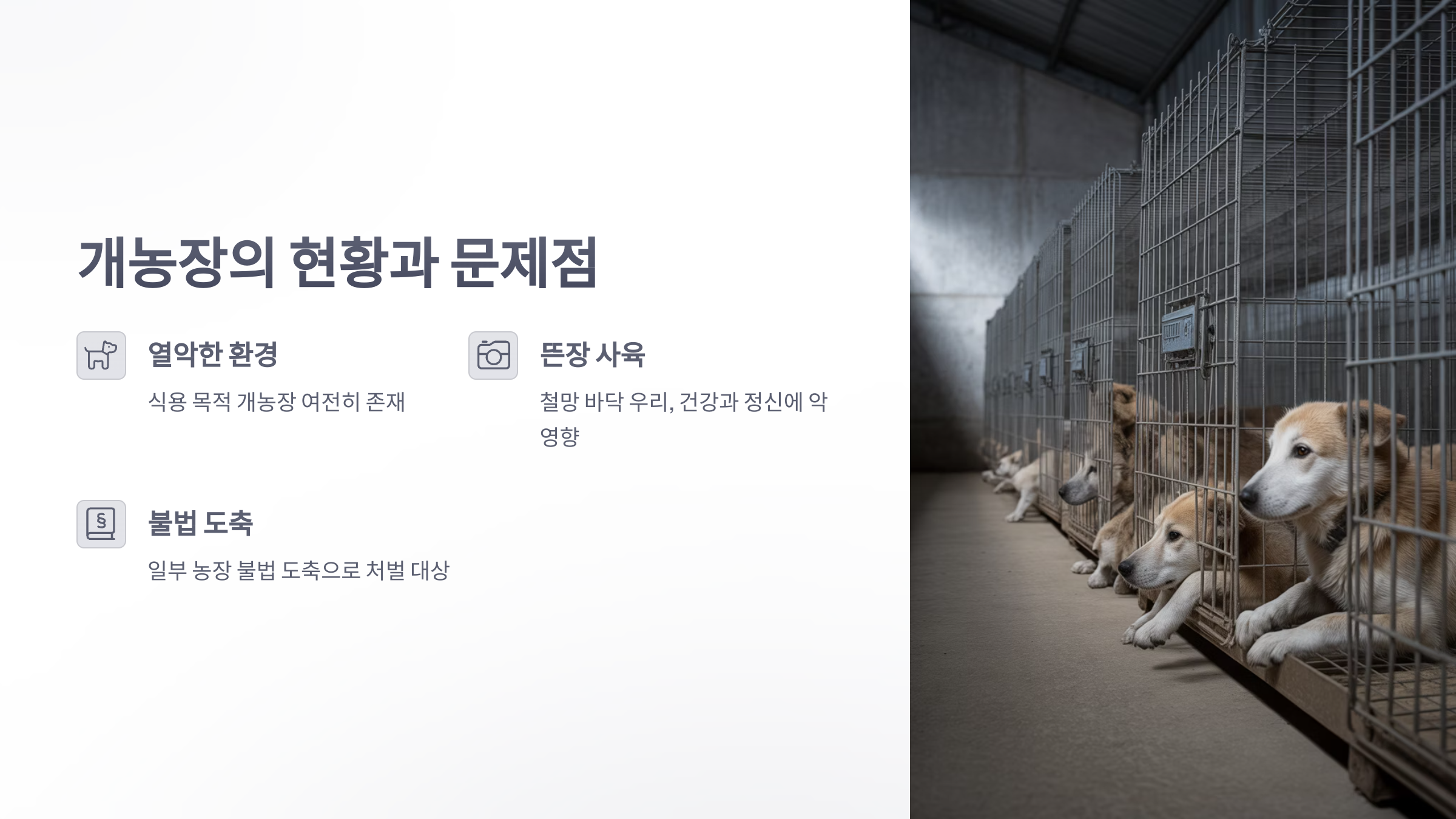 참조-개농장-2