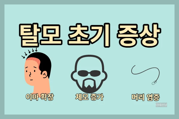  탈모 초기 증상, 남성형 탈모, 절대 하면 안 되는 일, 꼭 해야 할 일