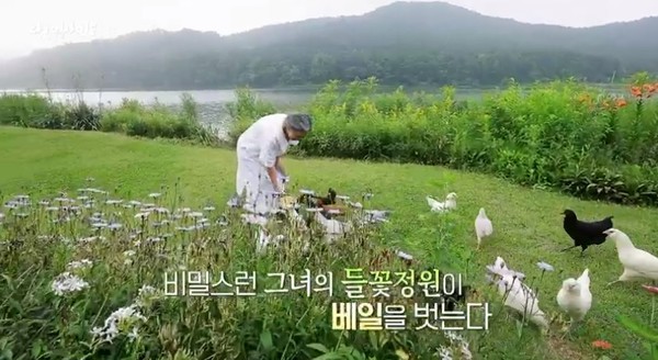  다큐인사이트 아내의 정원 치유의 공간