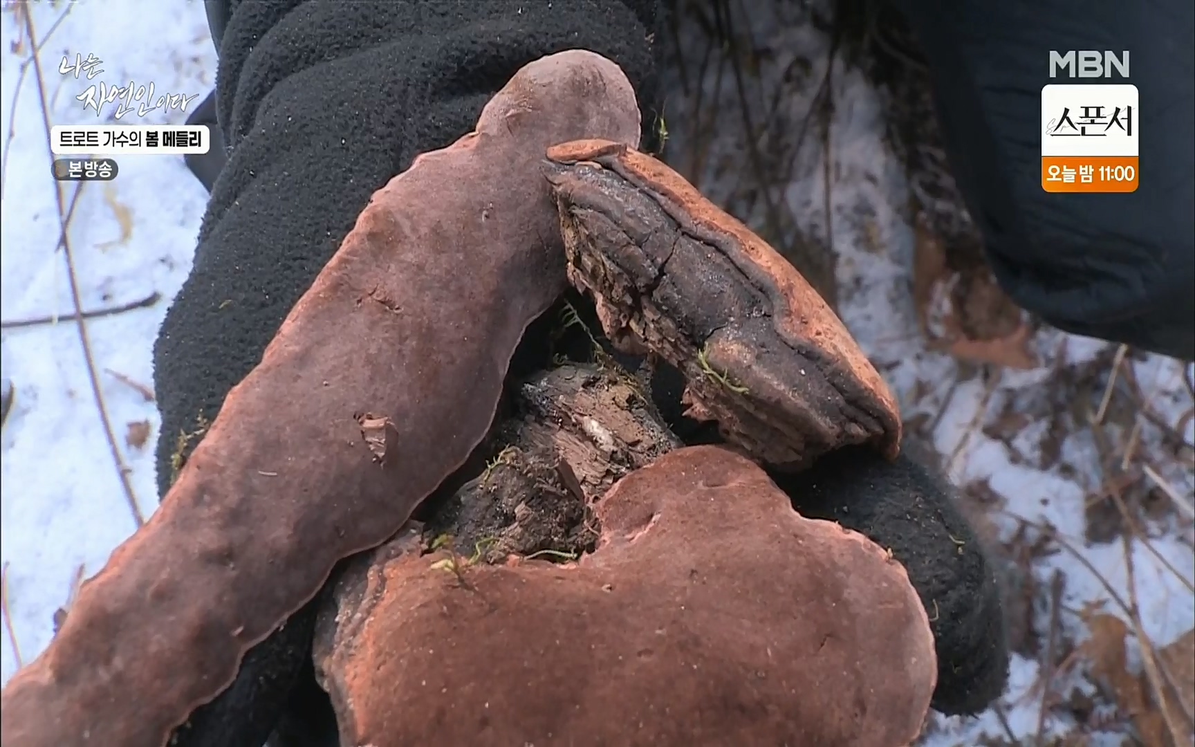 나는 자연인이다.E494.220323p.H264-F1RST.mp4_20220324_182020.462.jpg