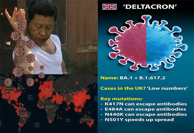 델타크론 바이러스 발생 위험성은? (+델타,오미크론)