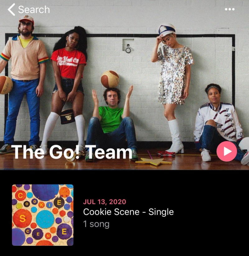  The Go! Team 'Cookie Scene'