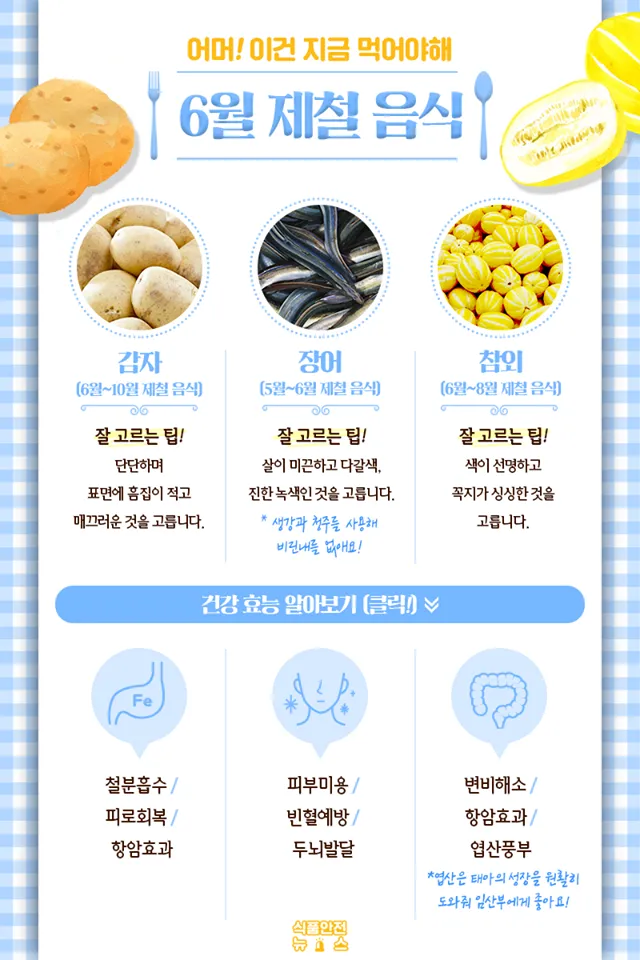 6월 제철 음식 추천 종류_7