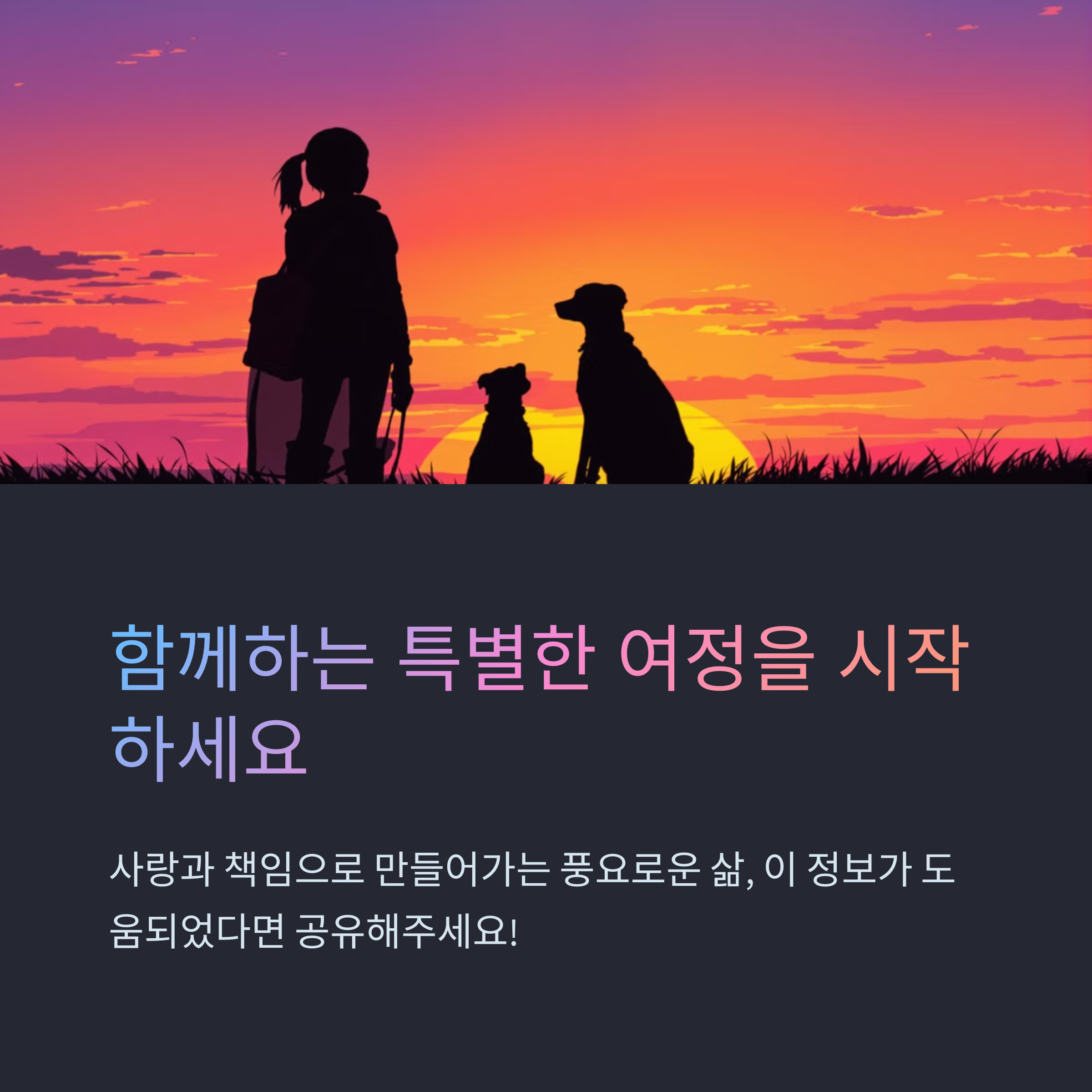 반려동물과 함께하는 삶, 당신의 행복을 두 배로 만드는 특별한 동행