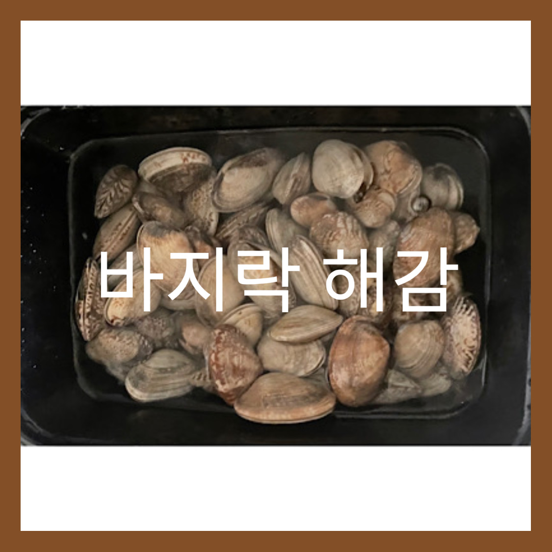  3단계 바지락 해감법