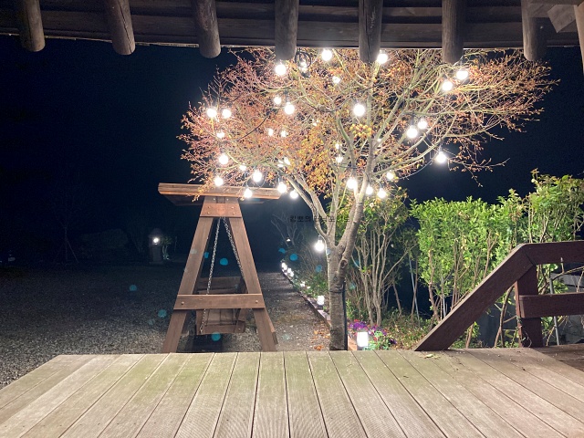 마당에있는-나무에-불빛