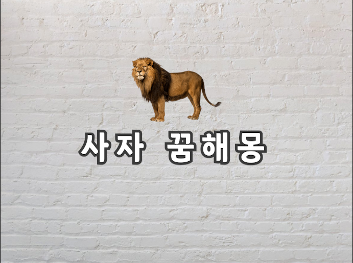 사자 꿈 사자가 꿈에 나왔다면 무서워하지 말아요