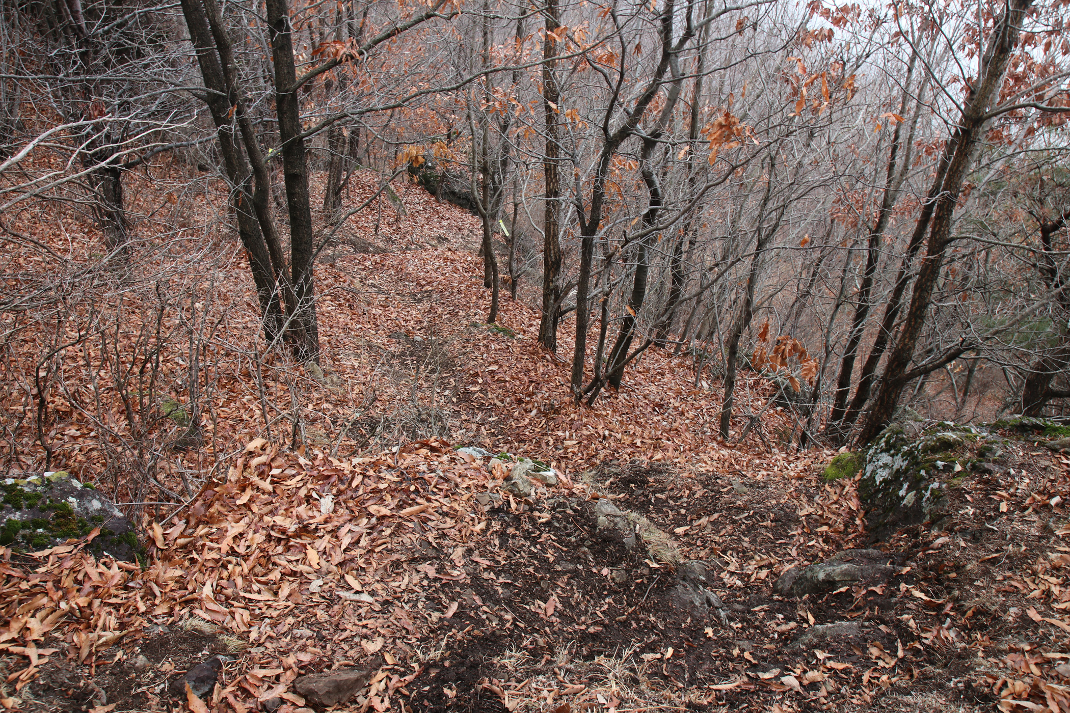 경남 의령군 국사봉 05 11