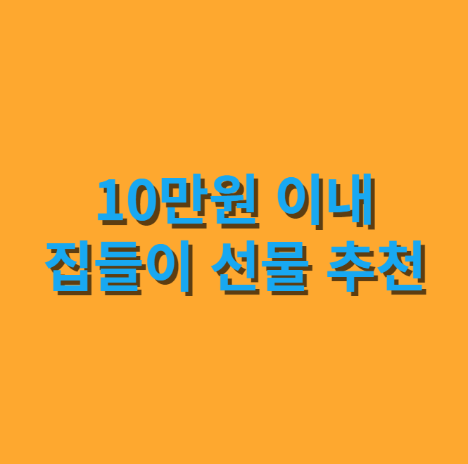  10만원 이내로 구매 가능한 신혼부부 집들이선물