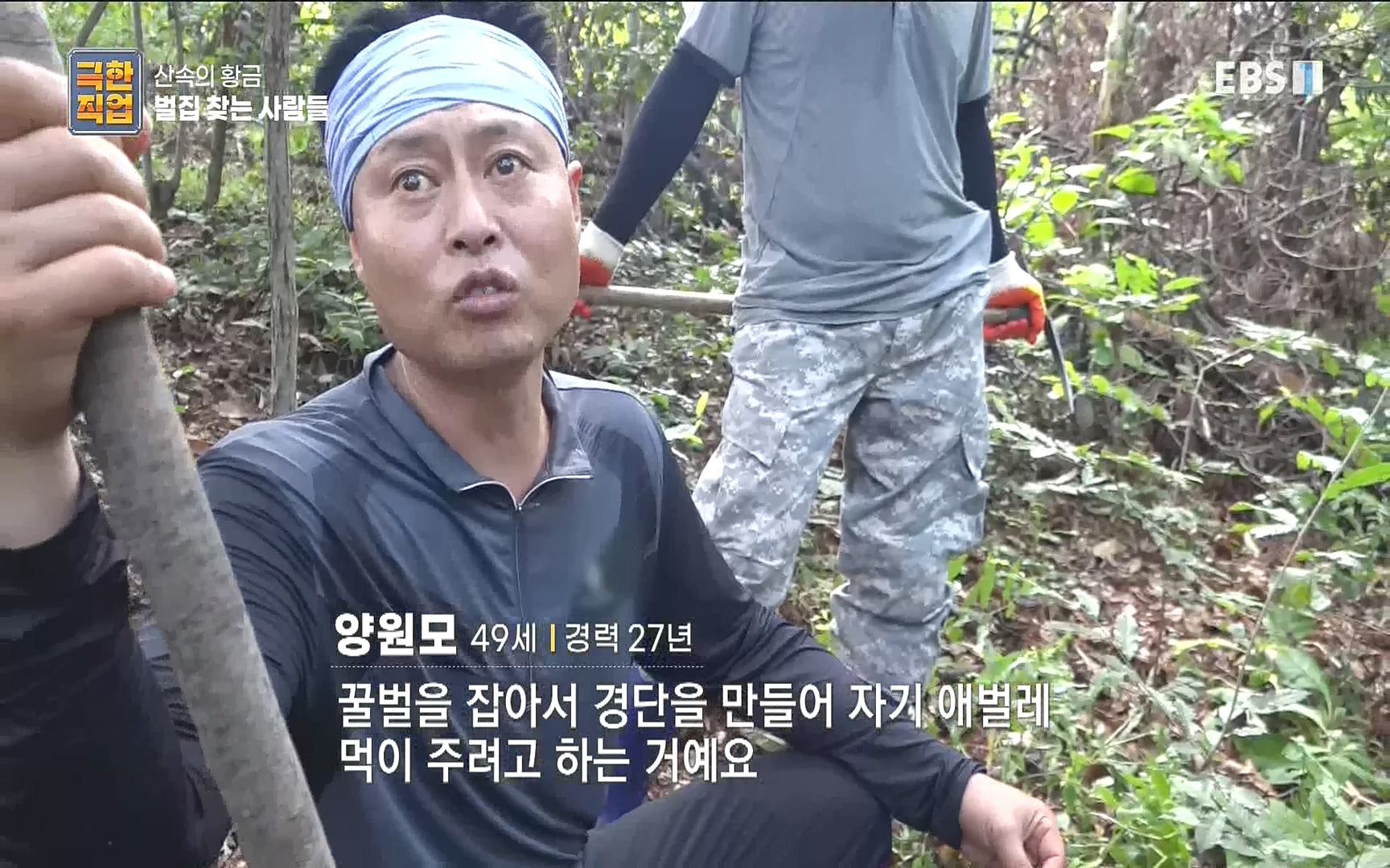 벌집 찾는 사람들.mp4_20221006_205041.071.jpg