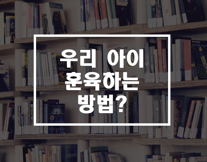  우리 아이 훈육 방법