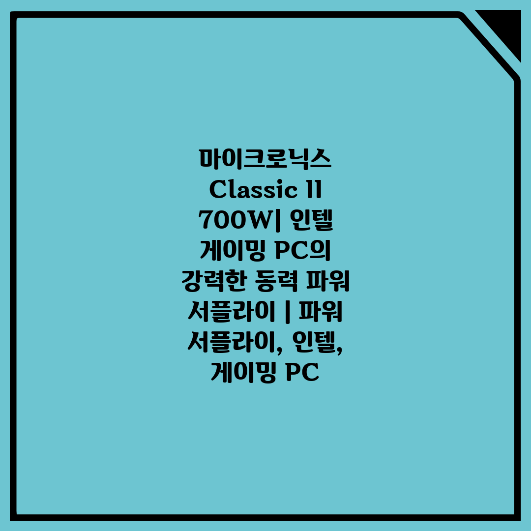 마이크로닉스 Classic II 700W 인텔 게이밍 