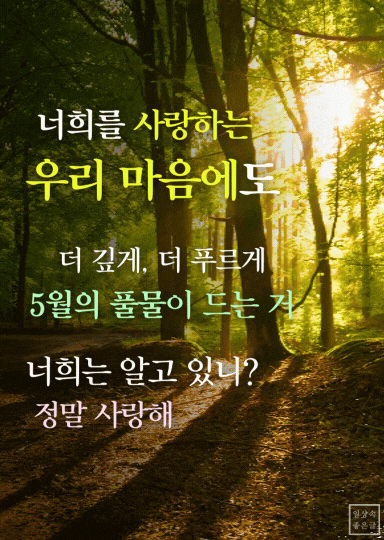 숲속 햇빛과 사랑의 메시지를 담은 5월의 편지 감성 시 이미지