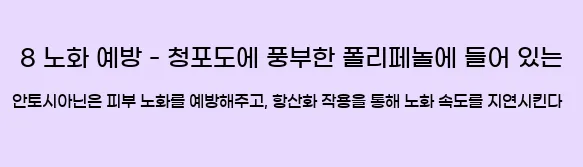  8 노화 예방 - 청포도에 풍부한 폴리페놀에 들어 있는 안토시아닌은 피부 노화를 예방해주고, 항산화 작용을 통해 노화 속도를 지연시킨다