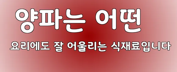  양파는 어떤 요리에도 잘 어울리는 식재료입니다
