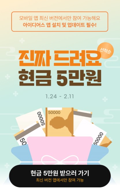 아이디어스 5만원