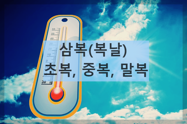  삼복(복날) : 초복, 중복, 말복으로 이어지는 삼단콤보 무더위