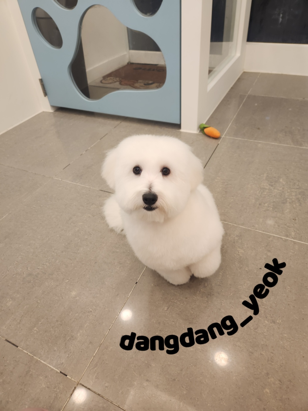 리나미용실 이미지