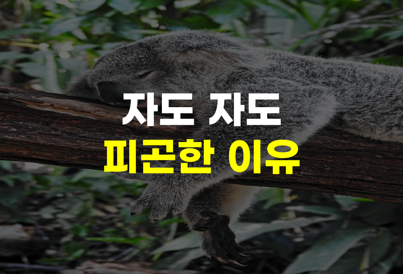  자도자도 피곤한 이유