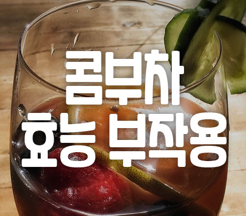 콤부차 효능 부작용